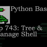 Python Basics Tutorial Tree And Django Manage Shell Command