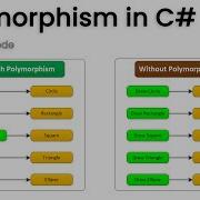 C Polymorphism Tutorial Overriding Method OOP