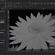 Procedural Plant With L System In Houdini Using