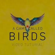 How To Play Birds In Under 10 Minutes