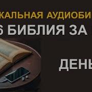 День 43 Библия за год Библейский ультрамарафон портала Иисус 2026