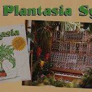 The Plantasia Moog Modular Synth An Untold Story