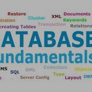 Database Fundamentals For Beginners Database Tutorial