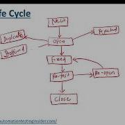 Defect Bug Life Cycle