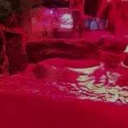 Time Lapse Of Our Ball Python