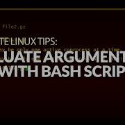 How To Evaluate Arguments That Are Used With Bash Scripts