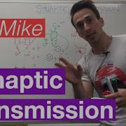 Synaptic Transmission Neuron