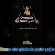 Dön Desem Organik Karaoke