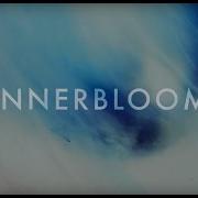 RÜFÜS DU SOL Innerbloom Official Video