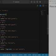 PHP Switches Explained