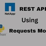 Connect NetApp REST API With Python Requests Library