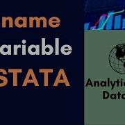 5 How To Rename A Variable In STATA