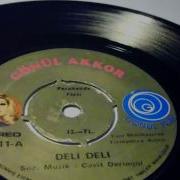 Gönül Akkor Gonul Deli Deli Deli Gibi Sevdim PLAK VINYL RECORD 7