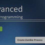 Undestanding Basics Of Zombie Process With Example Advanced Linux Programming Tutorial 7