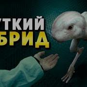 КРИПОВАЯ ХРЕНАТЕНЬ ХИМЕРА