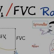 FEV1 FVC Ratio Pulmonary Medicine Obstructive Vs Restrictive Lung Disease Respiratory Physio