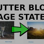 Flutter BLoC Simple Image Tutorial
