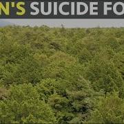Japan S Suicide Forest