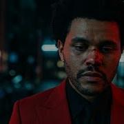 The Weeknd Don T Come Back Official Lyric Video 2026