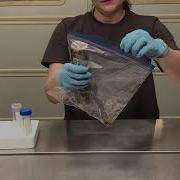 Environmental Sampling Viruses