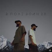 В поле воин 2 0