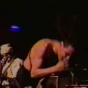 Korn Faget Rare 1993