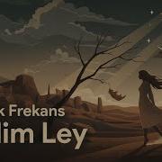 Leylim Ley Anatolian Rock Darkwave Cover Akustik Frekans