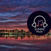 Kevin MacLeod Cut And Dry Electronic Hard Dance Electronic Loop