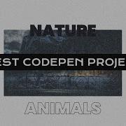 5 Best Codepen Projects 02 HTML CSS JAVASCRIPT