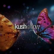 004 KushFlow Melodic Liquid Drum Bass Mix