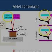 Basics Of Atomic Force Microscopy KWalsh MRL Webinar Series