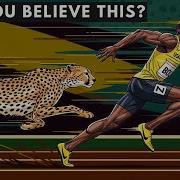 USAIN BOLT Vs CHEETAH 400M 3D Speed Comparison