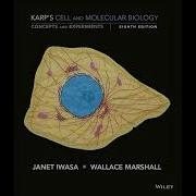 Signal Transduction Mechanisms Chapter 12 Karp S Cell And Molecular Biology