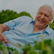 EXPLODING Seed Pods Make Sir David Attenborough Laugh The Green Planet BBC