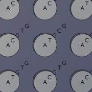 Microarrays DNA Chips HD Animation