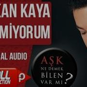 Serkan Kaya Sevemiyorum Official Audio