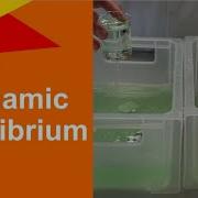 Simulation Of Dynamic Equilibrium CHEMISTRY EXPERIMENTS