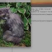 Python07 Image Processing