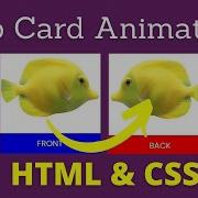 Awesome Flip Card Animation Using HTML CSS HTML CSS Project For Beginners