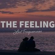 Lost Frequencies The Feeling Lyrics