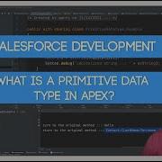Salesforce Apex Master Class Ep 9 What Are Primitive Data Types In Apex