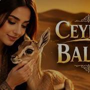Ceyran Balam Sevilən Azərbaycan Mahnısı