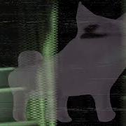 Backroom Breakcore Mp3