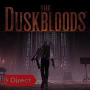 The Duskbloods Nintendo Direct Nintendo Switch 2