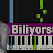 Sezen Aksu Biliyorsun Kolay Piyano