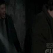 Yellow Fever Dean And The Cat