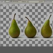 TwistedBrush Tutorials Removing A Background From A Photo Part 1