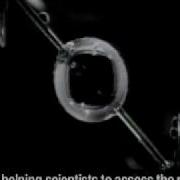 Fluid Physics In Microgravity