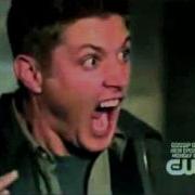Dean Winchester Scared Of Cat Long Version