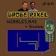 GP Shorts Nibbles Bas Snake 40